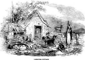 306x214xleinstercottage.jpg.pagespeed.ic.gXddg5jOnx[1]